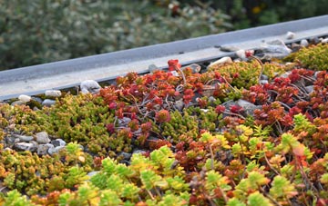 the cost of St Pancras green roof installation