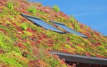 St Pancras living roof systems